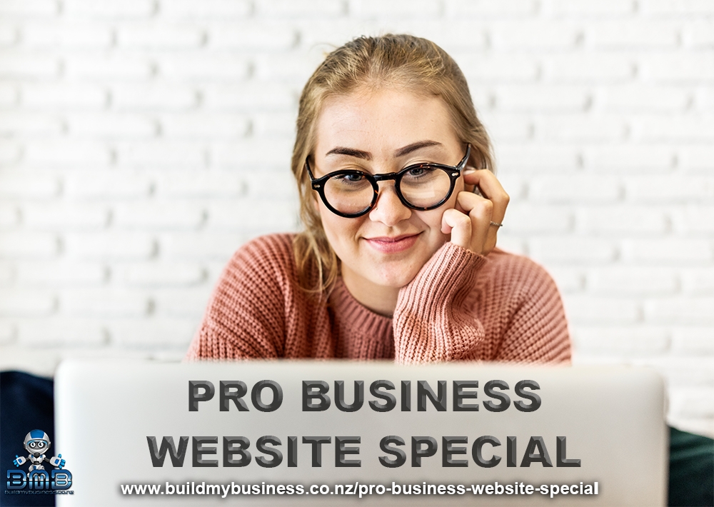 Pro Business Website Special